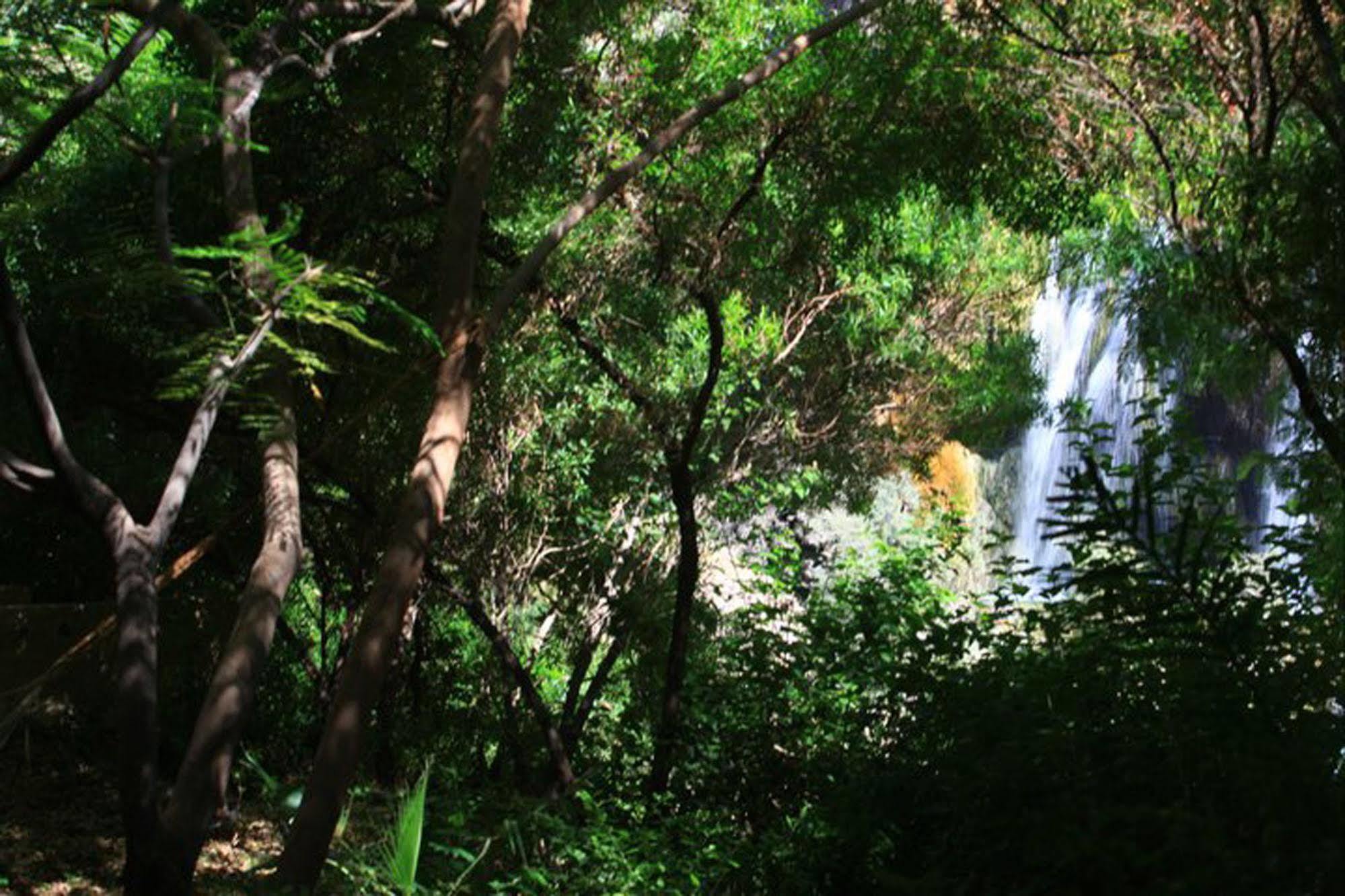 Ma'In Hot Springs Ξενοδοχείο Sweimeh Εξωτερικό φωτογραφία